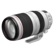 EF100-400mm f/4.5-5.6L IS II USM