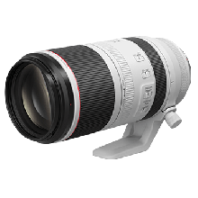 RF100-500mm f/4.5-7.1L IS USM